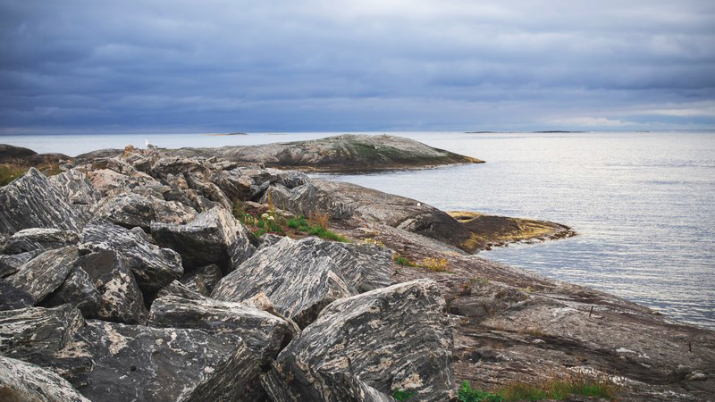 September 9th  Fishing and Birdwatching at Ona